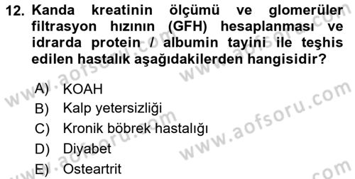 Evde Yaşlı Bakım Hizmetleri Dersi 2023 - 2024 Yılı (Vize) Ara Sınav Soruları 12. Soru
