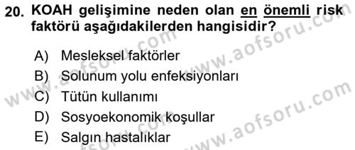 Evde Yaşlı Bakım Hizmetleri Dersi 2023 - 2024 Yılı (Vize) Ara Sınav Soruları 20. Soru