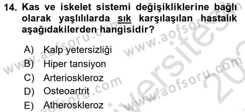 Evde Yaşlı Bakım Hizmetleri Dersi 2023 - 2024 Yılı (Final) Dönem Sonu Sınav Soruları 14. Soru