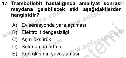 Evde Yaşlı Bakım Hizmetleri Dersi 2023 - 2024 Yılı (Final) Dönem Sonu Sınav Soruları 17. Soru