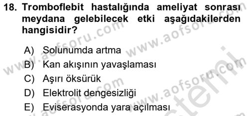 Evde Yaşlı Bakım Hizmetleri Dersi 2023 - 2024 Yılı Yaz Okulu Sınav Soruları 18. Soru