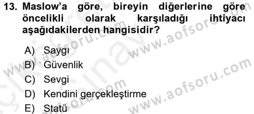 Yaşlılarda Çatışma Ve Stres Yönetimi 1 Dersi 2017 - 2018 Yılı 3 Ders Sınav Soruları 13. Soru