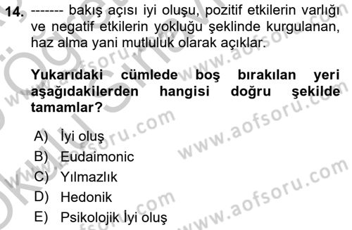 Yaşlılarda Çatışma Ve Stres Yönetimi 1 Dersi 2018 - 2019 Yılı Yaz Okulu Sınav Soruları 14. Soru