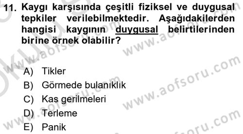 Yaşlılarda Çatışma Ve Stres Yönetimi 1 Dersi 2022 - 2023 Yılı Yaz Okulu Sınav Soruları 11. Soru