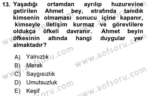 Yaşlılarda Çatışma Ve Stres Yönetimi 1 Dersi 2022 - 2023 Yılı Yaz Okulu Sınav Soruları 13. Soru