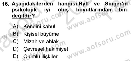 Yaşlılarda Çatışma Ve Stres Yönetimi 1 Dersi 2022 - 2023 Yılı Yaz Okulu Sınav Soruları 16. Soru