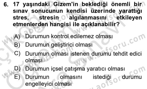 Yaşlılarda Çatışma Ve Stres Yönetimi 1 Dersi 2023 - 2024 Yılı (Vize) Ara Sınav Soruları 6. Soru