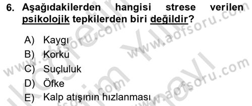 Yaşlılarda Çatışma Ve Stres Yönetimi 1 Dersi 2025 - 2026 Yılı (Vize) Ara Sınav Soruları 6. Soru