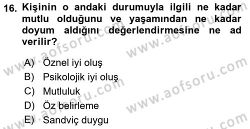 Yaşlılarda Çatışma Ve Stres Yönetimi 2 Dersi 2018 - 2019 Yılı (Vize) Ara Sınav Soruları 16. Soru