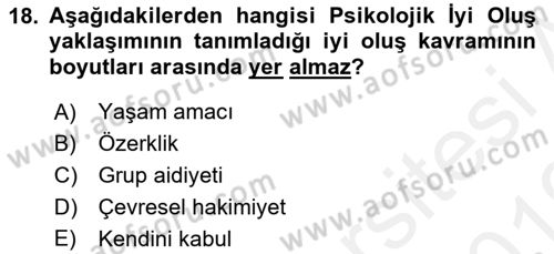 Yaşlılarda Çatışma Ve Stres Yönetimi 2 Dersi 2018 - 2019 Yılı (Vize) Ara Sınav Soruları 18. Soru