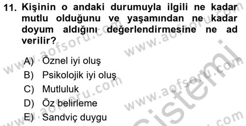 Yaşlılarda Çatışma Ve Stres Yönetimi 2 Dersi 2018 - 2019 Yılı Yaz Okulu Sınav Soruları 11. Soru