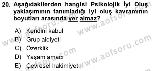 Yaşlılarda Çatışma Ve Stres Yönetimi 2 Dersi 2019 - 2020 Yılı (Vize) Ara Sınavı 20. Soru