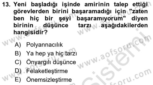 Yaşlılarda Çatışma Ve Stres Yönetimi 2 Dersi 2024 - 2025 Yılı Yaz Okulu Sınav Soruları 13. Soru