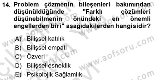 Yaşlılarda Çatışma Ve Stres Yönetimi 2 Dersi 2024 - 2025 Yılı Yaz Okulu Sınav Soruları 14. Soru