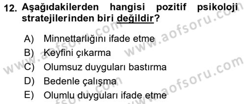 Yaşlılarda Çatışma Ve Stres Yönetimi 2 Dersi 2025 - 2026 Yılı (Vize) Ara Sınav Soruları 12. Soru