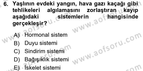 Yaşlılarda Davranış Sorunları Ve Uyum Dersi 2016 - 2017 Yılı (Vize) Ara Sınav Soruları 6. Soru