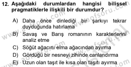 Yaşlılarda Davranış Sorunları Ve Uyum Dersi 2018 - 2019 Yılı 3 Ders Sınav Soruları 12. Soru