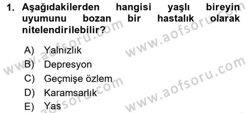 Yaşlılarda Davranış Sorunları Ve Uyum Dersi 2018 - 2019 Yılı (Final) Dönem Sonu Sınav Soruları 1. Soru