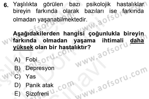 Yaşlılarda Davranış Sorunları Ve Uyum Dersi 2018 - 2019 Yılı (Final) Dönem Sonu Sınav Soruları 6. Soru