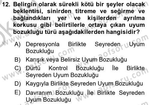 Yaşlılarda Davranış Sorunları Ve Uyum Dersi 2018 - 2019 Yılı Yaz Okulu Sınav Soruları 12. Soru