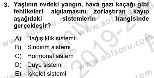 Yaşlılarda Davranış Sorunları Ve Uyum Dersi 2019 - 2020 Yılı (Vize) Ara Sınav Soruları 3. Soru