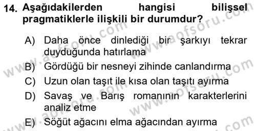 Yaşlılarda Davranış Sorunları Ve Uyum Dersi Ara Sınavı Deneme Sınav Soruları 14. Soru