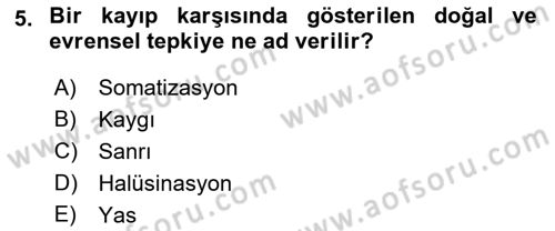 Yaşlılarda Davranış Sorunları Ve Uyum Dersi 2021 - 2022 Yılı Yaz Okulu Sınav Soruları 5. Soru