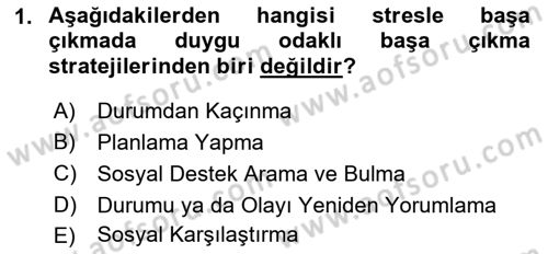Yaşlılarda Davranış Sorunları Ve Uyum Dersi Ara Sınavı Deneme Sınav Soruları 1. Soru