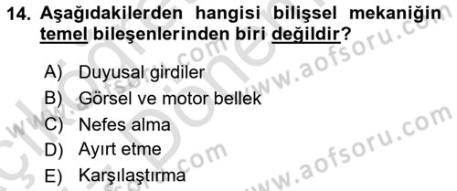 Yaşlılarda Davranış Sorunları Ve Uyum Dersi Ara Sınavı Deneme Sınav Soruları 14. Soru