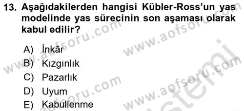Yaşlılarda Davranış Sorunları Ve Uyum Dersi 2022 - 2023 Yılı Yaz Okulu Sınav Soruları 13. Soru