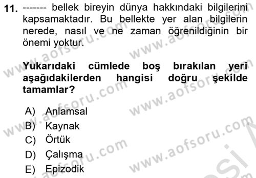 Yaşlılarda Davranış Sorunları Ve Uyum Dersi Ara Sınavı Deneme Sınav Soruları 11. Soru