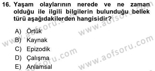 Yaşlılarda Davranış Sorunları Ve Uyum Dersi Ara Sınavı Deneme Sınav Soruları 16. Soru
