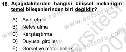 Yaşlılarda Davranış Sorunları Ve Uyum Dersi Ara Sınavı Deneme Sınav Soruları 18. Soru