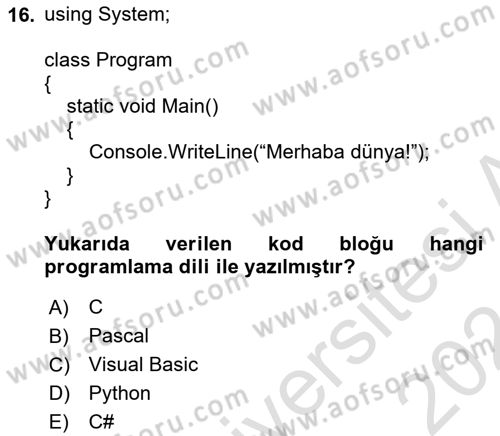 Bilişim Teknolojileri Dersi 2023 - 2024 Yılı (Final) Dönem Sonu Sınav Soruları 16. Soru