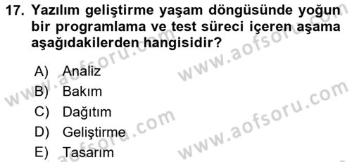 Bilişim Teknolojileri Dersi 2024 - 2025 Yılı (Final) Dönem Sonu Sınav Soruları 17. Soru