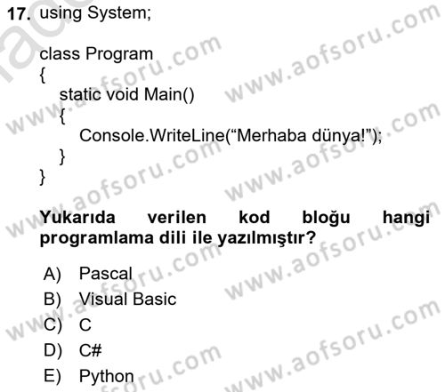 Bilişim Teknolojileri Dersi 2024 - 2025 Yılı Yaz Okulu Sınav Soruları 17. Soru