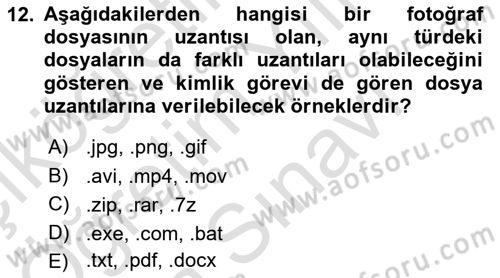 Bilişim Teknolojileri Dersi 2025 - 2026 Yılı (Vize) Ara Sınav Soruları 12. Soru