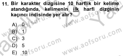Bilgisayar Ve Programlamaya Giriş Dersi 2018 - 2019 Yılı Yaz Okulu Sınav Soruları 11. Soru