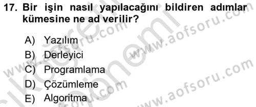 Bilgisayar Ve Programlamaya Giriş Dersi Ara Sınavı Deneme Sınav Soruları 17. Soru