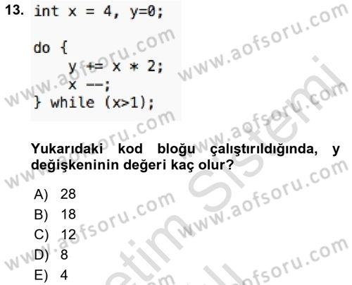 Bilgisayar Ve Programlamaya Giriş Dersi 2021 - 2022 Yılı Yaz Okulu Sınav Soruları 13. Soru
