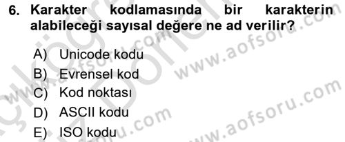 Bilgisayar Ve Programlamaya Giriş Dersi Ara Sınavı Deneme Sınav Soruları 6. Soru
