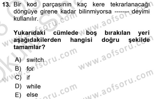 Bilgisayar Ve Programlamaya Giriş Dersi 2022 - 2023 Yılı Yaz Okulu Sınav Soruları 13. Soru