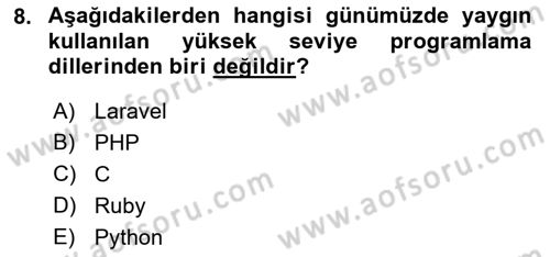 Bilgisayar Ve Programlamaya Giriş Dersi 2022 - 2023 Yılı Yaz Okulu Sınav Soruları 8. Soru