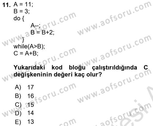 Bilgisayar Ve Programlamaya Giriş Dersi 2023 - 2024 Yılı (Final) Dönem Sonu Sınav Soruları 11. Soru