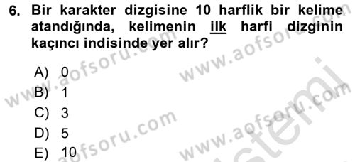 Bilgisayar Ve Programlamaya Giriş Dersi 2023 - 2024 Yılı (Final) Dönem Sonu Sınav Soruları 6. Soru