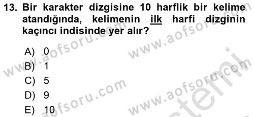 Bilgisayar Ve Programlamaya Giriş Dersi 2023 - 2024 Yılı Yaz Okulu Sınavı 13. Soru