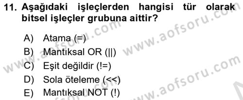 Bilgisayar Ve Programlamaya Giriş Dersi 2024 - 2025 Yılı (Final) Dönem Sonu Sınav Soruları 11. Soru
