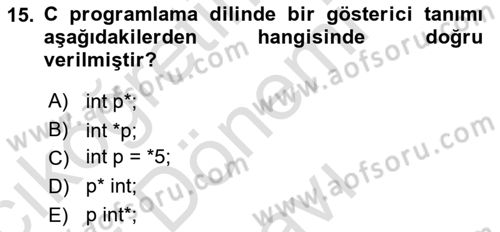 Bilgisayar Ve Programlamaya Giriş Dersi 2024 - 2025 Yılı (Final) Dönem Sonu Sınav Soruları 15. Soru