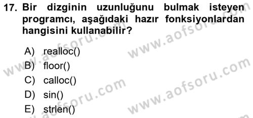 Bilgisayar Ve Programlamaya Giriş Dersi 2024 - 2025 Yılı (Final) Dönem Sonu Sınav Soruları 17. Soru