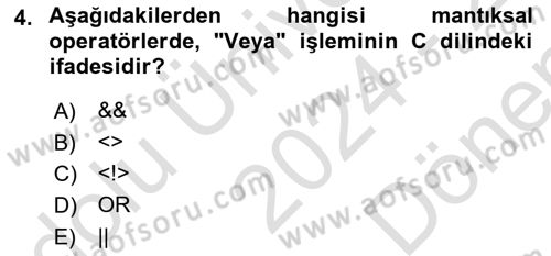 Bilgisayar Ve Programlamaya Giriş Dersi 2024 - 2025 Yılı (Final) Dönem Sonu Sınav Soruları 4. Soru